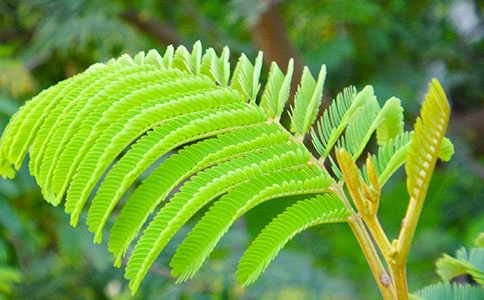 ���]�����߲�����