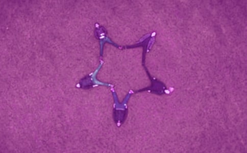 �����ĺ���_600��