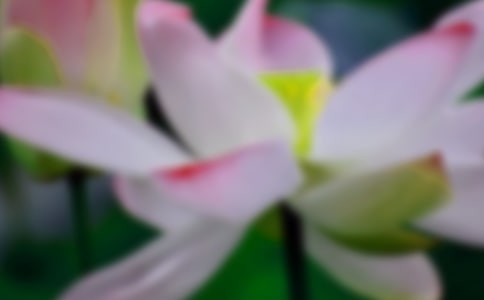 �ɻ����̰��̌W(xu��)�O(sh��)Ӌ(j��)