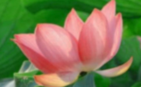 ٝ���ɻ�������