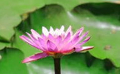 [��(y��u)��]�ɻ���(y��u)������