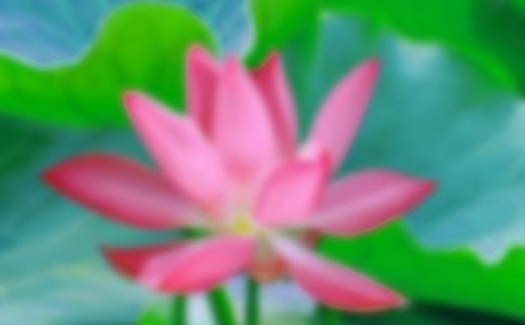 С�����g(sh��)�ۼtɫ�ĺɻ��̰�