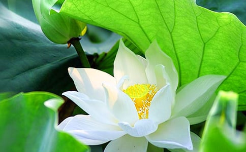 2023�꾫�x���ݺɻ��ľ��Ӽ���67�l