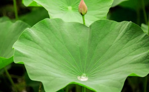 ���~����������