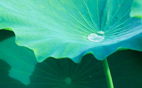 《荷葉圓圓》 第二課時(shí)教學(xué)設(shè)計(jì)