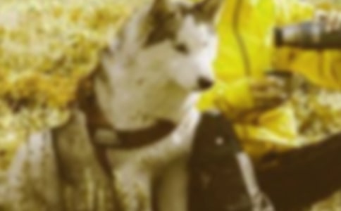 ��(sh��)�����˞鱾�ĿƌW(xu��)�l(f��)չ�^����(g��u)�����C���(hu��)