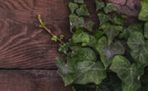 �Ќ�(sh��)�ӏ�(qi��ng)���傀(g��)���O(sh��)�� ������(g��u)��������x���C��ͤ