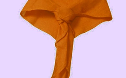 紅領(lǐng)巾的故事作文15篇