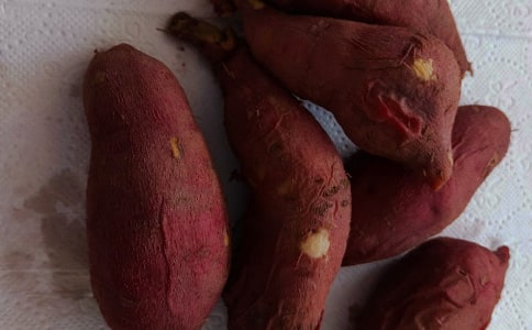 挖紅薯作文錦集【15篇】