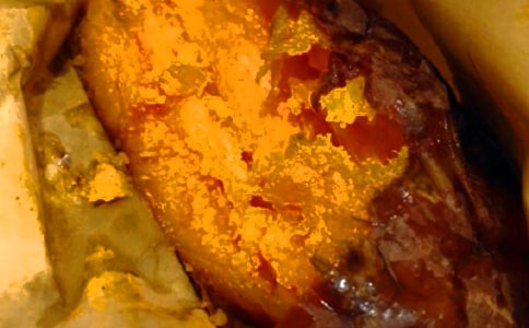 �ڼt������