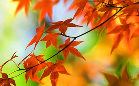 �t�~��һ����