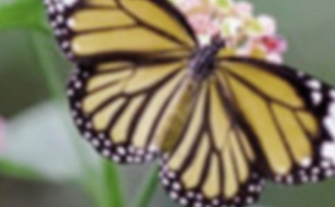 С��������