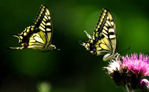 �׺���֮��