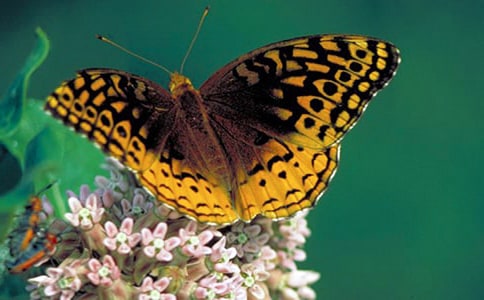 ���׺���֮�١�