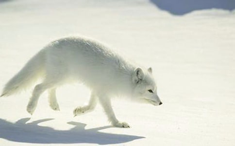 ����С؈�ͺ�؂�����x21ƪ��