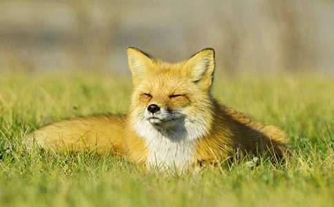 ����؂�͞��f���Ľ̰�����˼