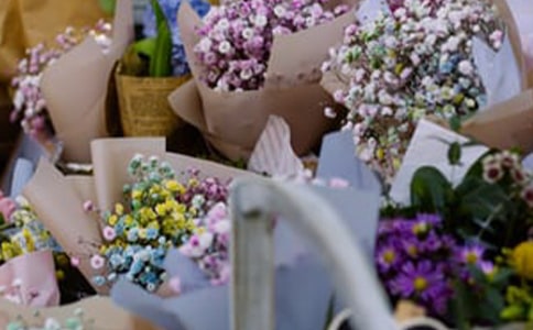 花店創(chuàng)業(yè)計劃書15篇(優(yōu))