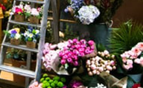 �W(w��ng)���r���ꄓ(chu��ng)�I(y��)Ӌ���������x14ƪ��