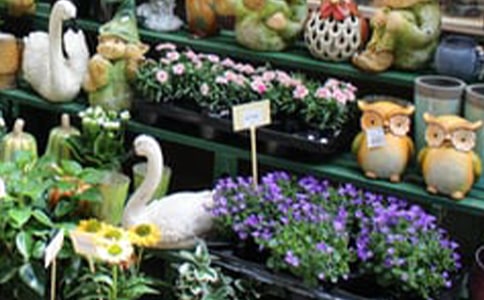 ���ꄓ(chu��ng)�I(y��)Ӌ(j��)����(sh��)��ȫ��15ƪ��