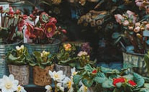 ����Ą�(chu��ng)�I(y��)Ӌ����