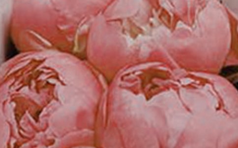 ����Ľ̰��O(sh��)Ӌ(j��)