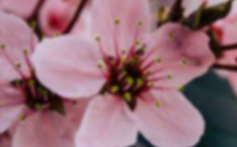 ���������g(sh��)�̰�