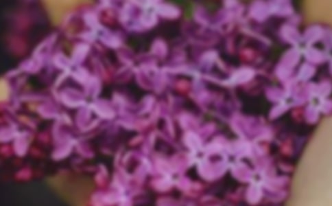 2024�����ݻ���ľ���22��