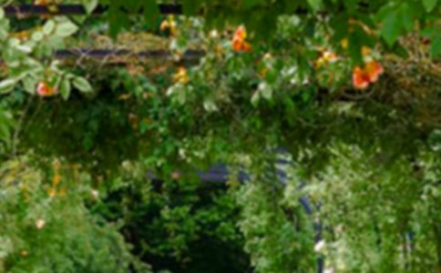 �����Ļ��@����15ƪ