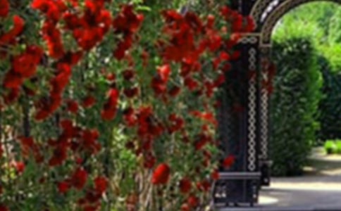 ����ʏ�Ļ��@���Ľ̌W(xu��)�O(sh��)Ӌ(j��)