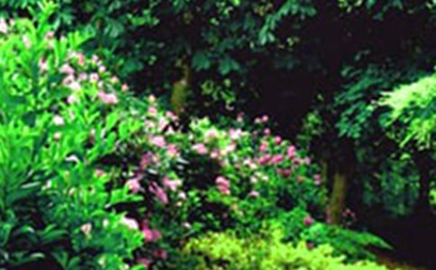 �����@����15ƪ