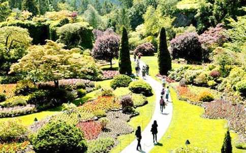 (薦)仙子花園作文