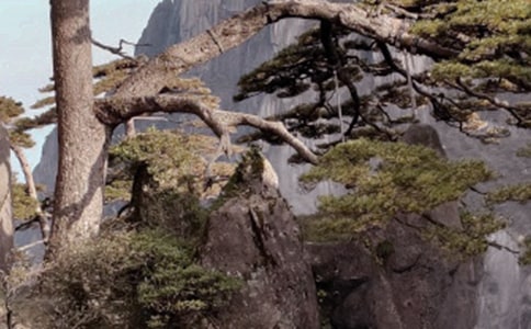 ���x�Sɽ��ӛ����3ƪ