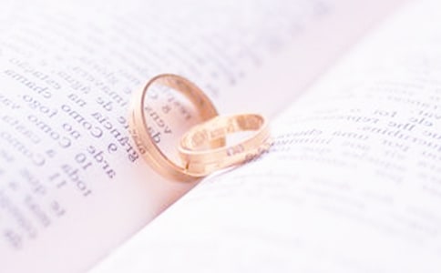 ������ӛ�������Y(ji��)