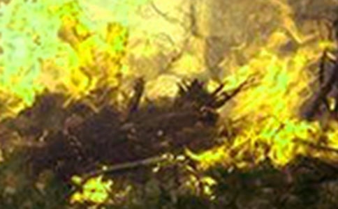 ���(z��i)���ع����R��(b��o) 10ƪ