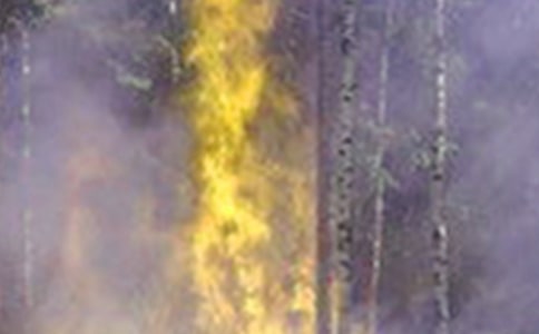 ������ķ��ع������Y