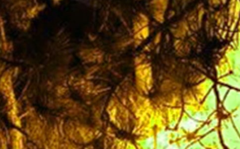 ���������(z��i)���ع���������r�R��2ƪ