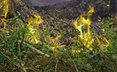 電氣火災(zāi)綜合治理工作總結(jié)