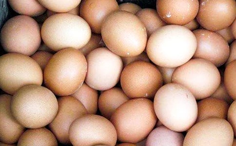 ���o�u��