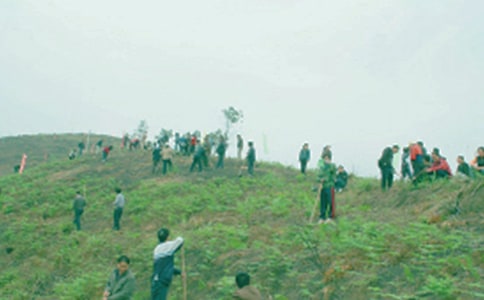 ���惞(y��u)�����ģ����x100ƪ��