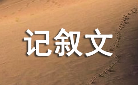 記敘文作文(精選33篇)