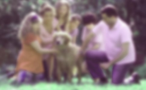 淺談家庭教育對孩子的影響論文