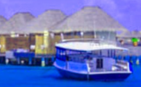 �������g������`���