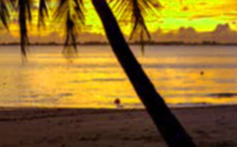 ���ڂ�(g��)�����(hu��)��(sh��)�`��(b��o)��ģ��