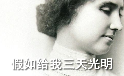 �Z�� ������o���������