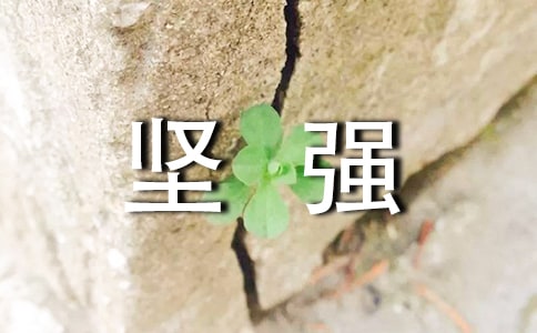 經(jīng)典形容堅(jiān)強(qiáng)的句子48條