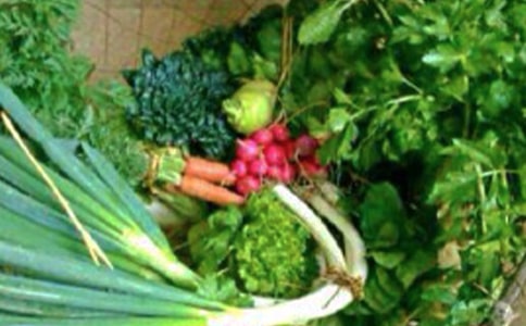 һ�꼉�w���c�����̰�