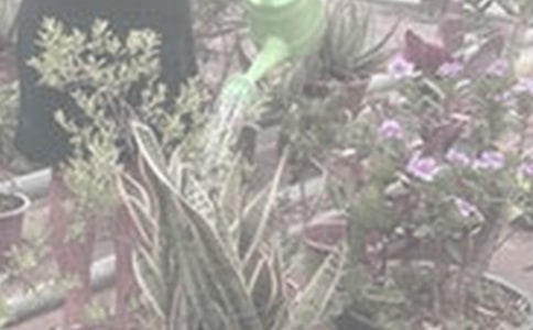 ����������ͨ��15ƪ