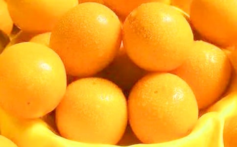 ��۰��ҳ��L(zh��ng)