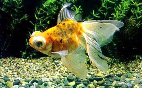 С�����g(sh��)�̰���С���~��β�͡�