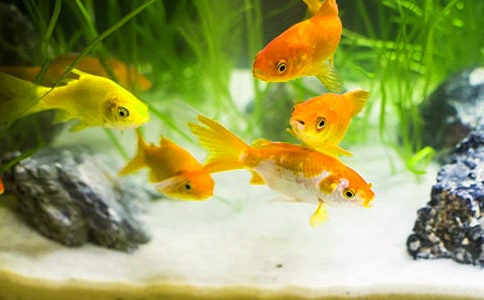 С���~���Ľ�(j��ng)�䡾10ƪ��